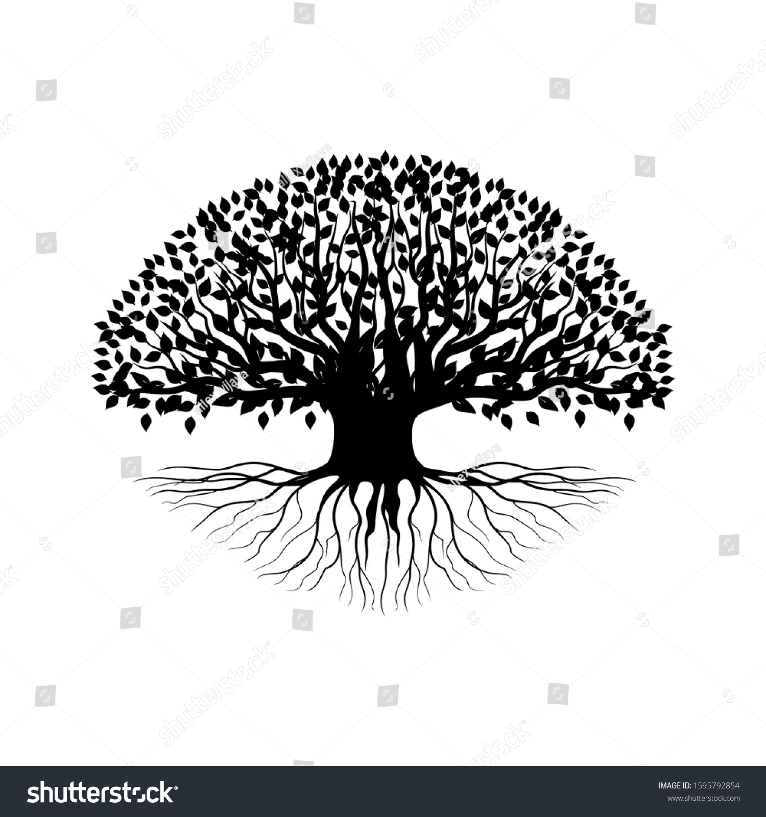 Silhouette Isolated Rooted Mangrove Tree On Stock Vector (Royalty Free ...