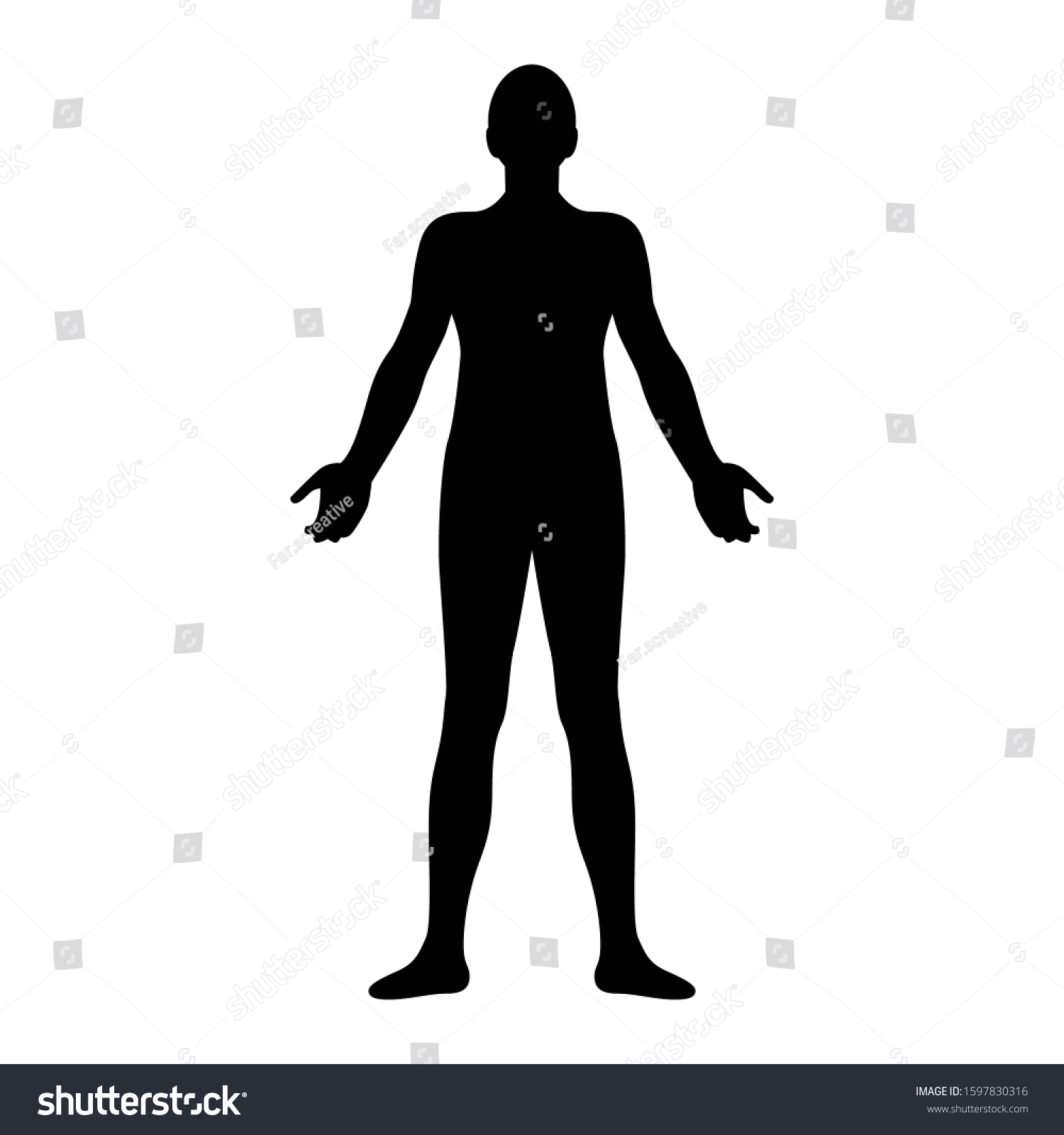 Human Body Silhouette Vector Illustration Stock Vector Royalty Free 1597830316 Shutterstock 7746