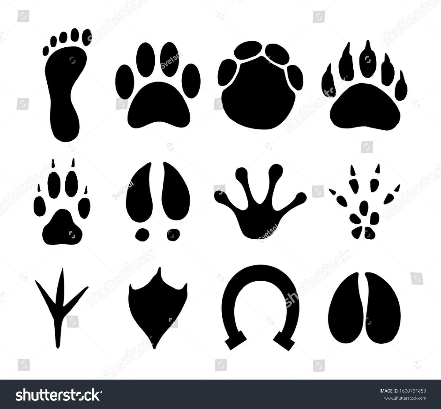 Vector Black Set Bundle Different Animals Stock Vector (Royalty Free ...