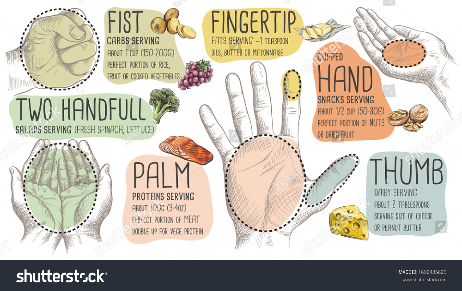 Meal Portion Size Measured By Hand Stock Illustration 1602435625 ...