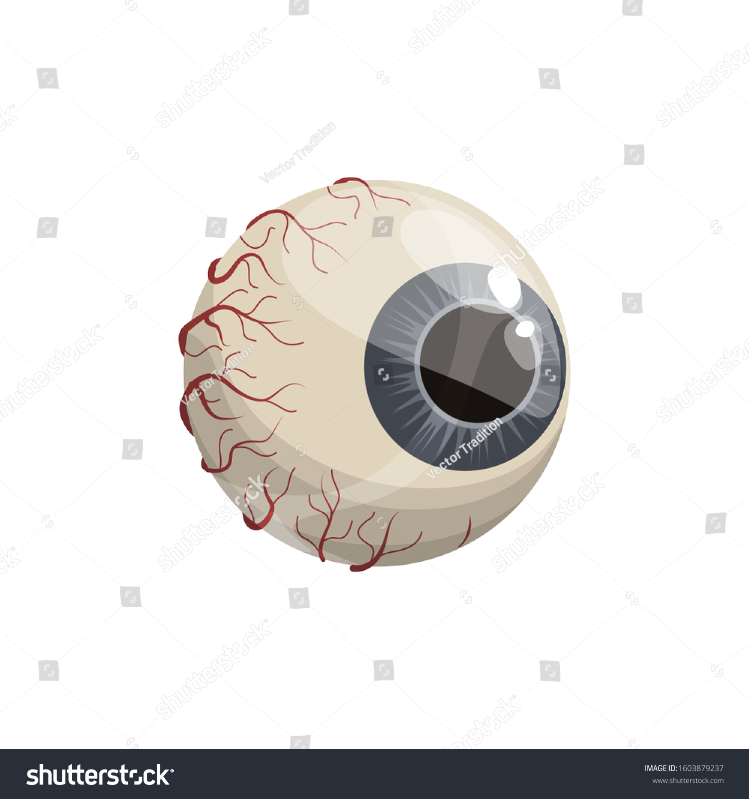 Human Eyeball Blue Iris Isolated Icon Stock Vector (Royalty Free ...