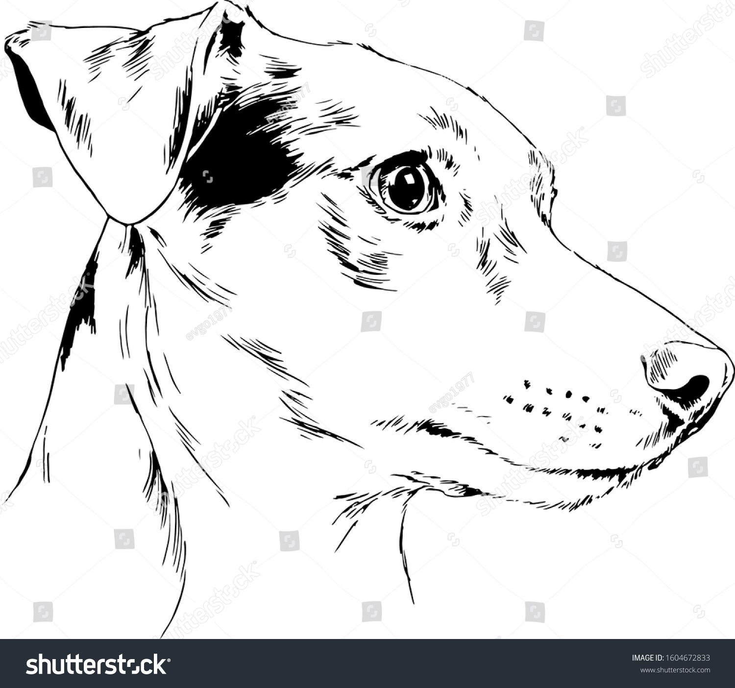 Dog Handdrawn Ink On White Background Stock Vector (Royalty Free ...