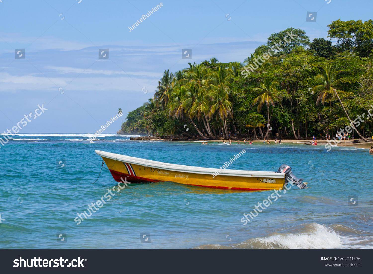 Manzanillo National Park Costa Rica February Stock Photo 1604741476 ...