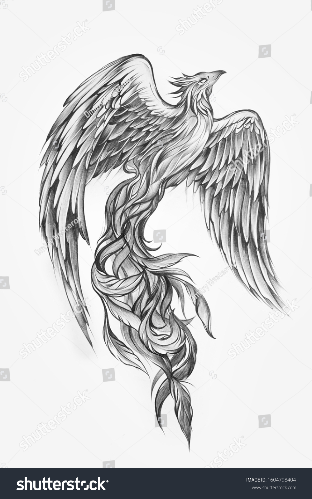 Blackwhite Sketch Majestic Phoenix Stock Illustration 1604798404