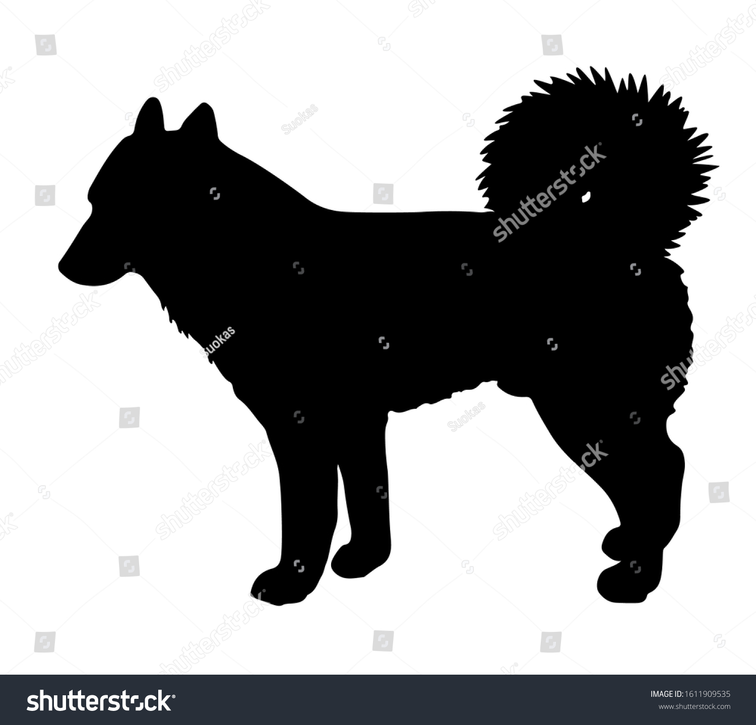 Standing Dog Black Silhouette Siberian Husky Stock Vector (Royalty Free ...