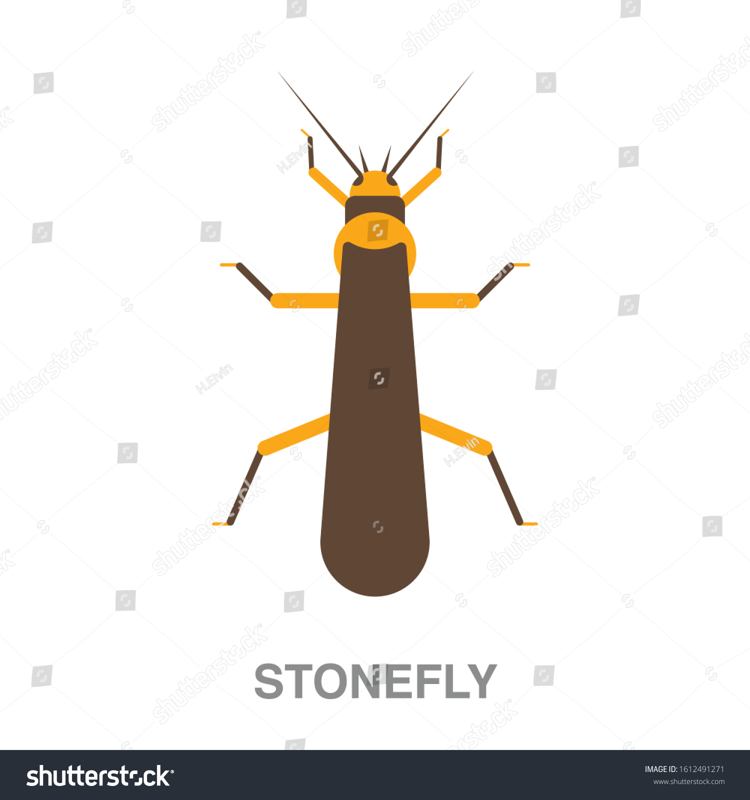 Stonefly Flat Icon On White Transparent Stock Vector (Royalty Free ...