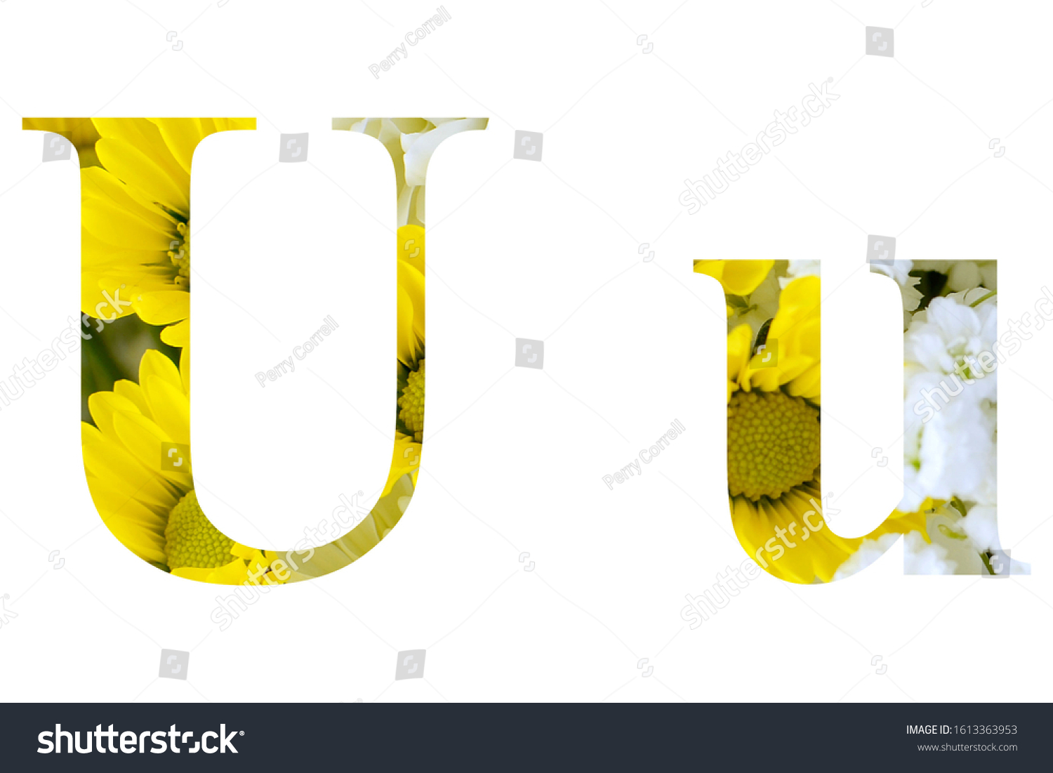 capital-upper-case-lower-case-letter-stock-photo-1613363953-shutterstock