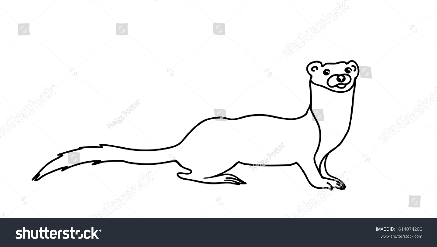 Weasel Vector Illustration Forest Ferret Outline Stock Vector (Royalty ...