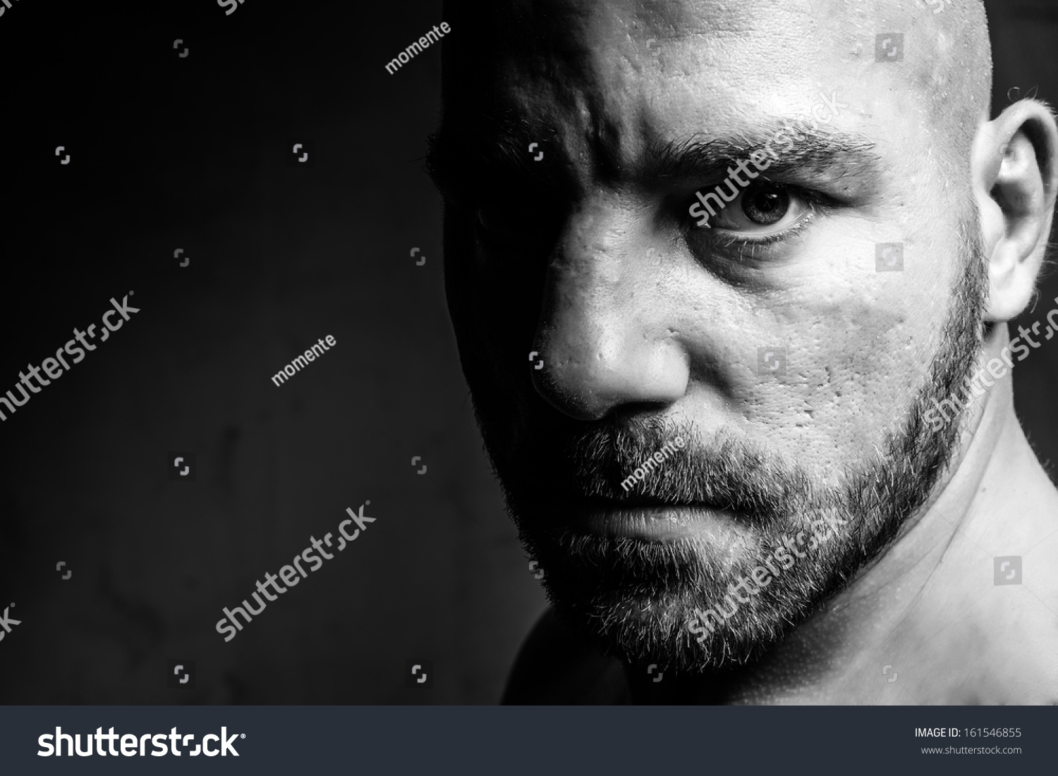 Boxing Black White Portrait His Stock Photo 161546855 | Shutterstock