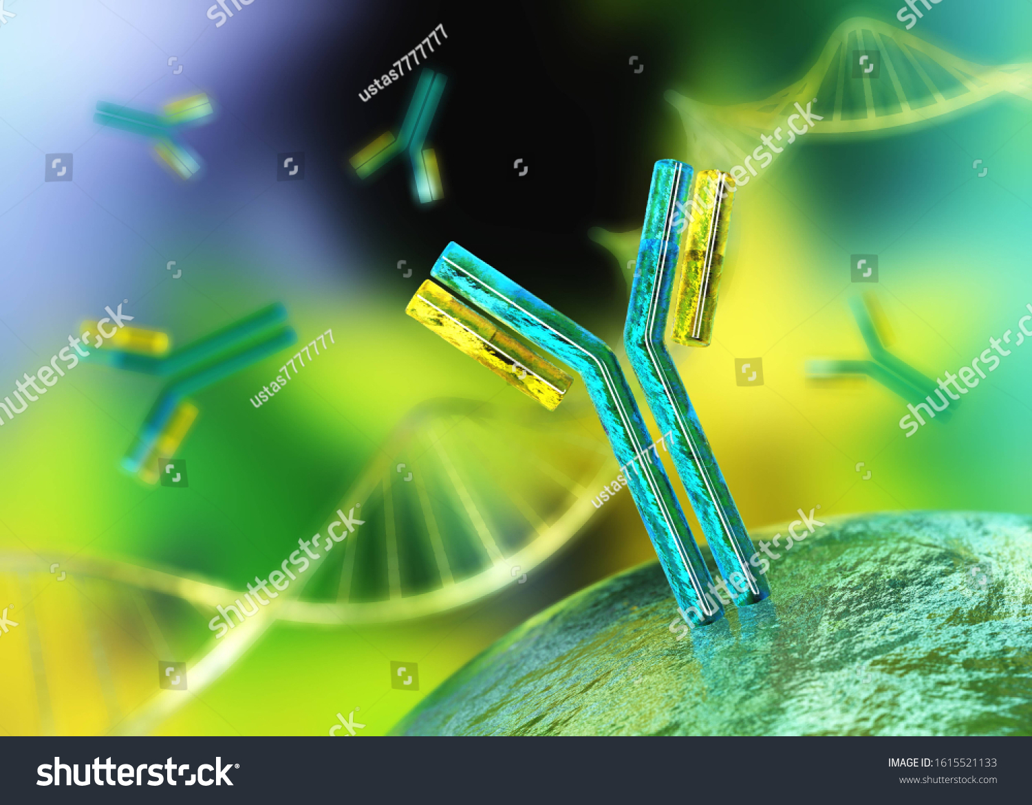 Antibody Immunoglobulin Yshaped Protein Produced Mainly Stock ...