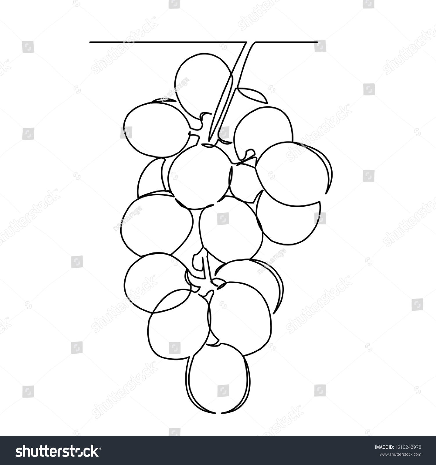 Continuous Single Drawn One Line Grapes Stock Illustration 1616242978 ...