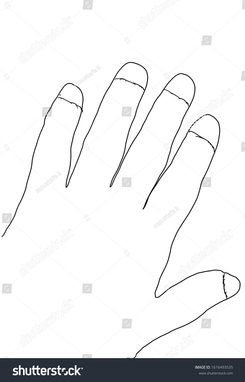 Palm Hand Illustration Drawing Engraving Stock Illustration 1616493535 ...