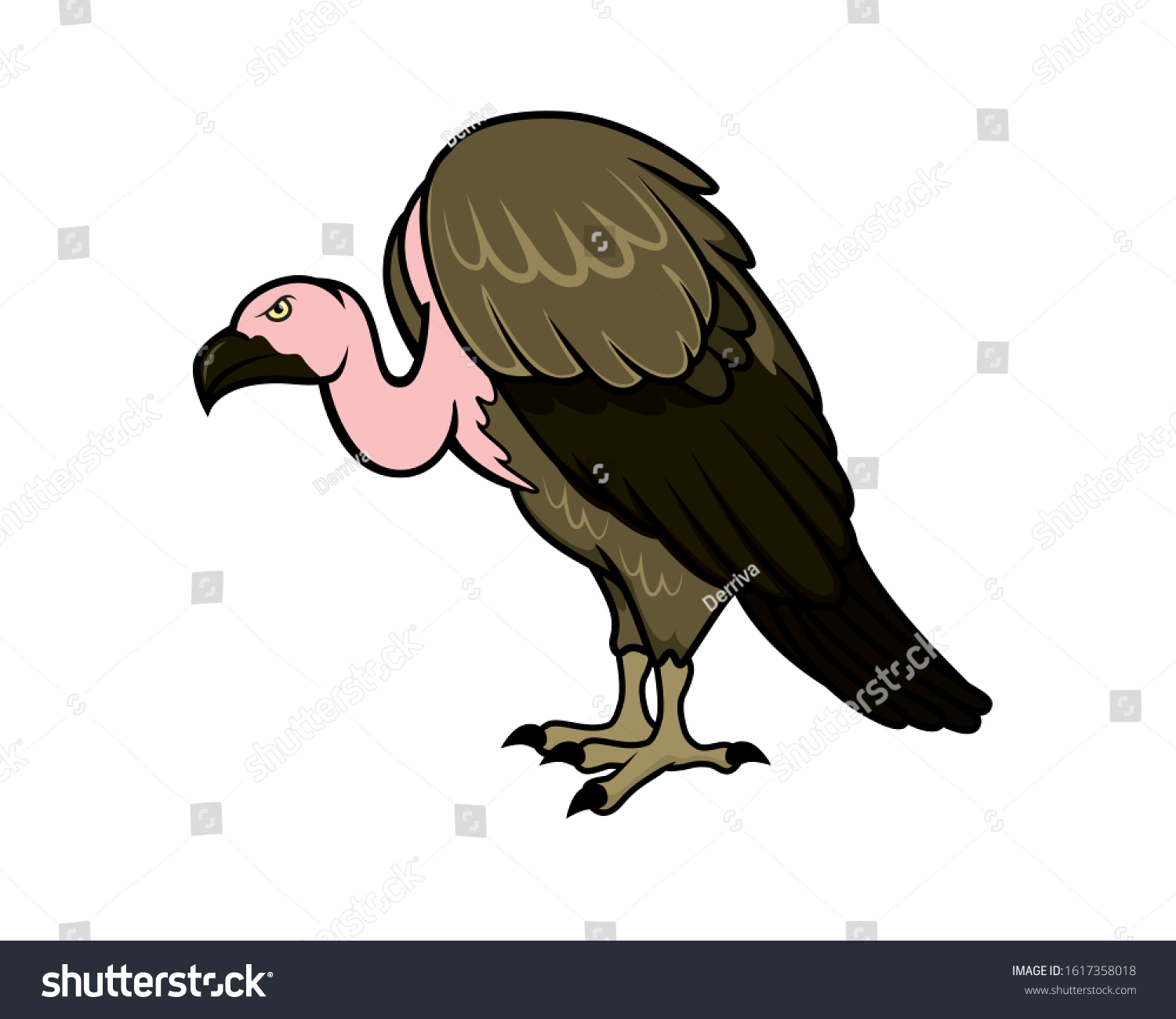 Detailed Vulture Standing Gesture Illustration Stock Vector (Royalty ...