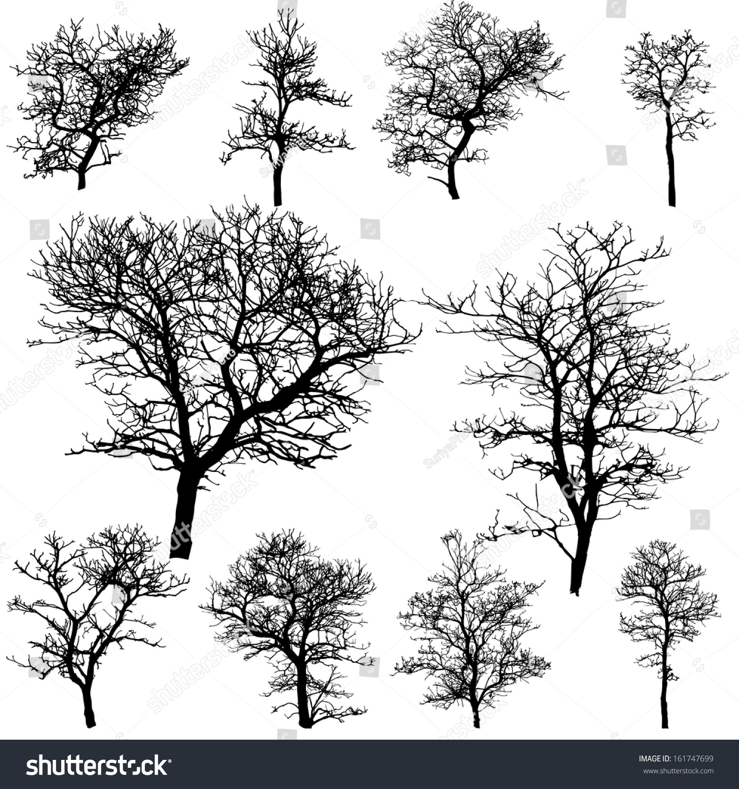 Dead Tree Without Leaves Vector Illustration Stock Vector (Royalty Free ...