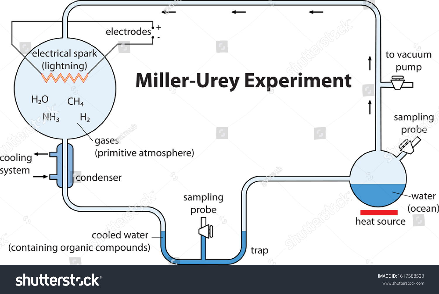 miller and urey experiment observation