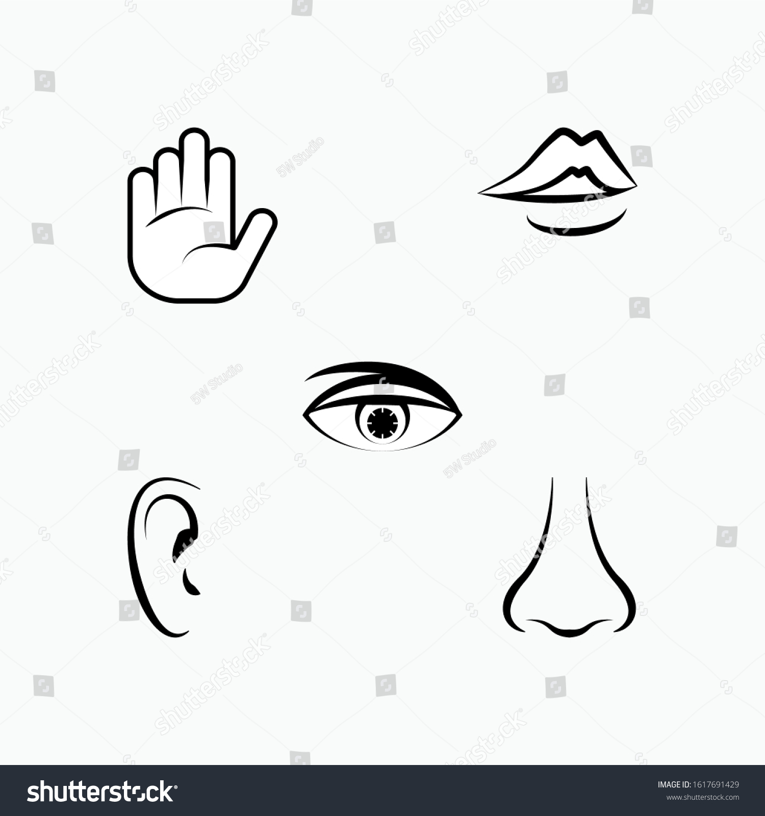 Set Human Senses Icon Types Perception Stock Vector (Royalty Free ...