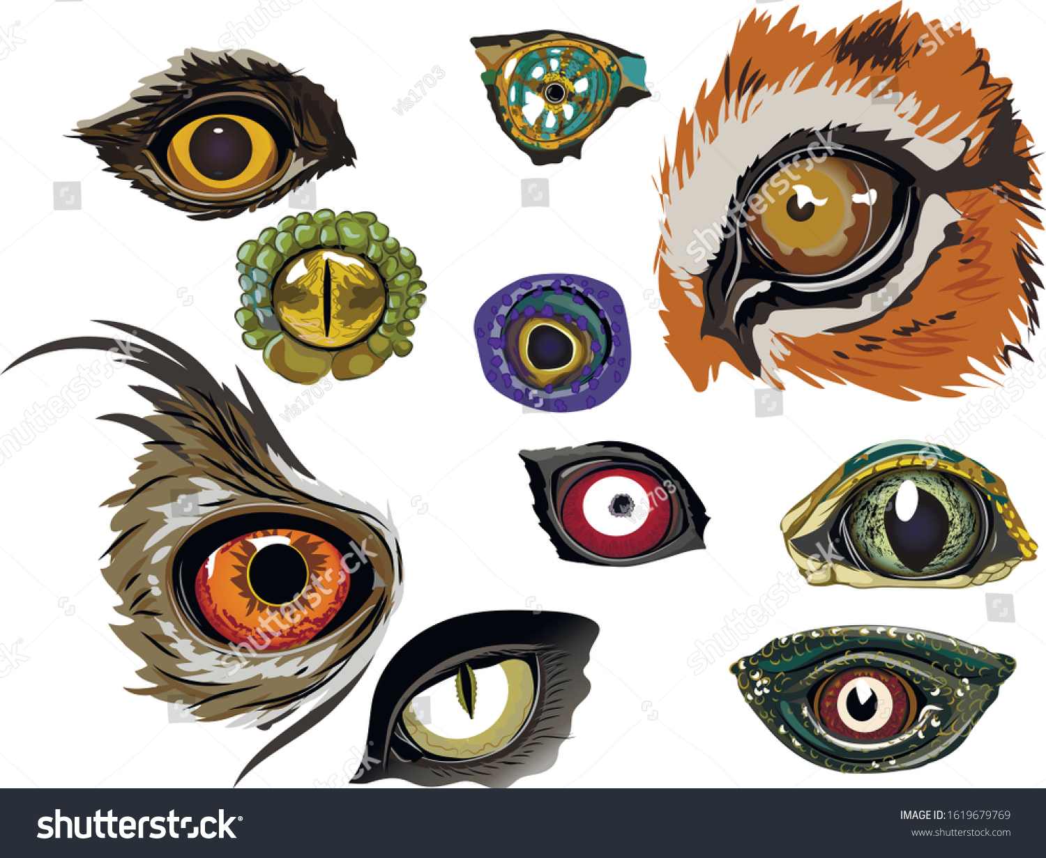 Collection Color Drawings Animal Eyes Stock Vector Royalty Free ...