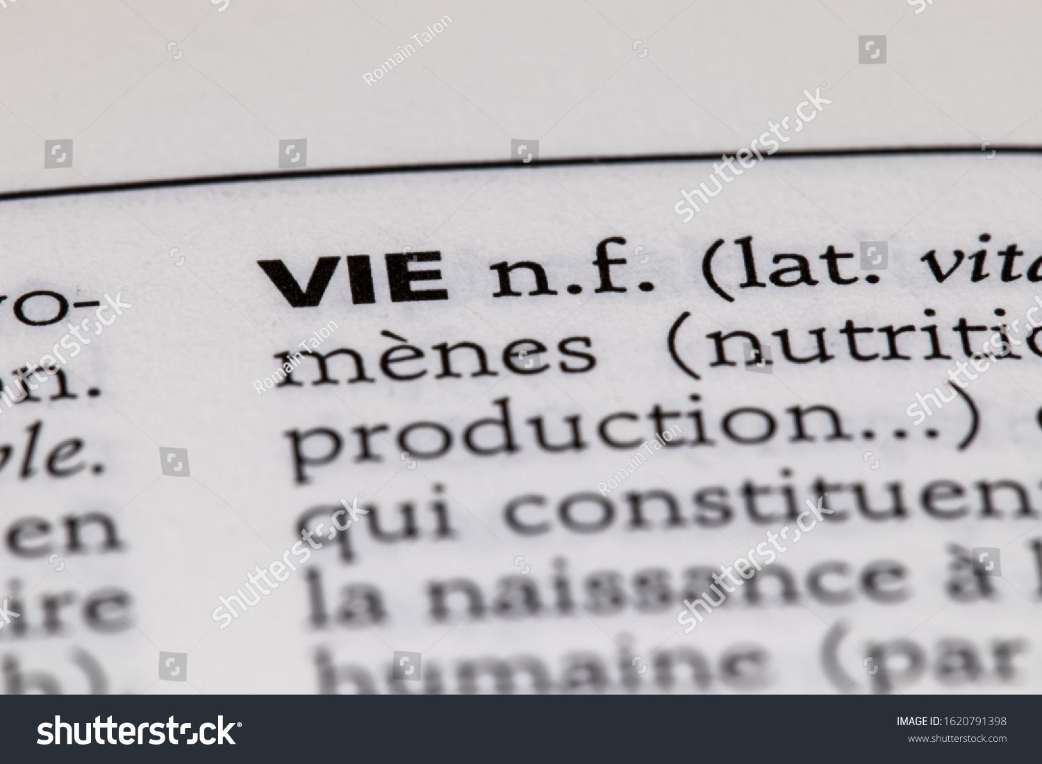 Vie Definition French Dictionary Stock Photo 1620791398 Shutterstock   Stock Photo Vie Definition From The French Dictionary 1620791398 