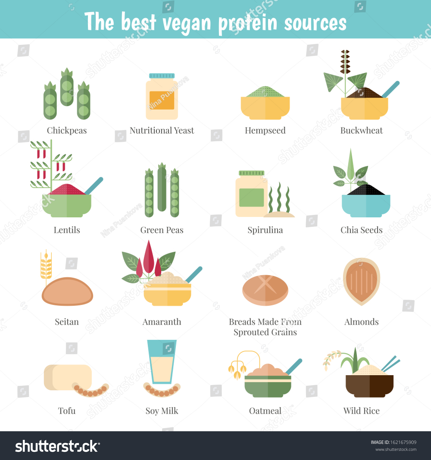 Foods Infographics Best Vegan Protein Sources Stock Vector Royalty Free 1621675909 Shutterstock 5111