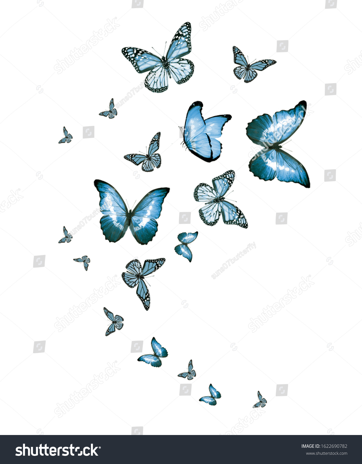 Flock Flying Butterflies Isolated On White Stock Illustration ...