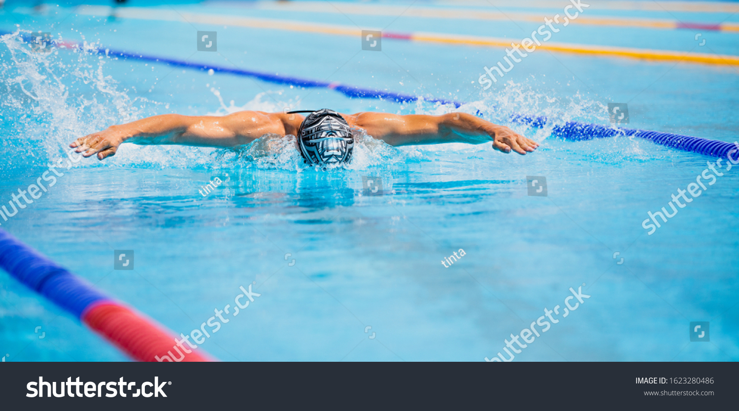 Athletic Man Swimming Butterfly Style Swimming Stock Photo 1623280486 ...