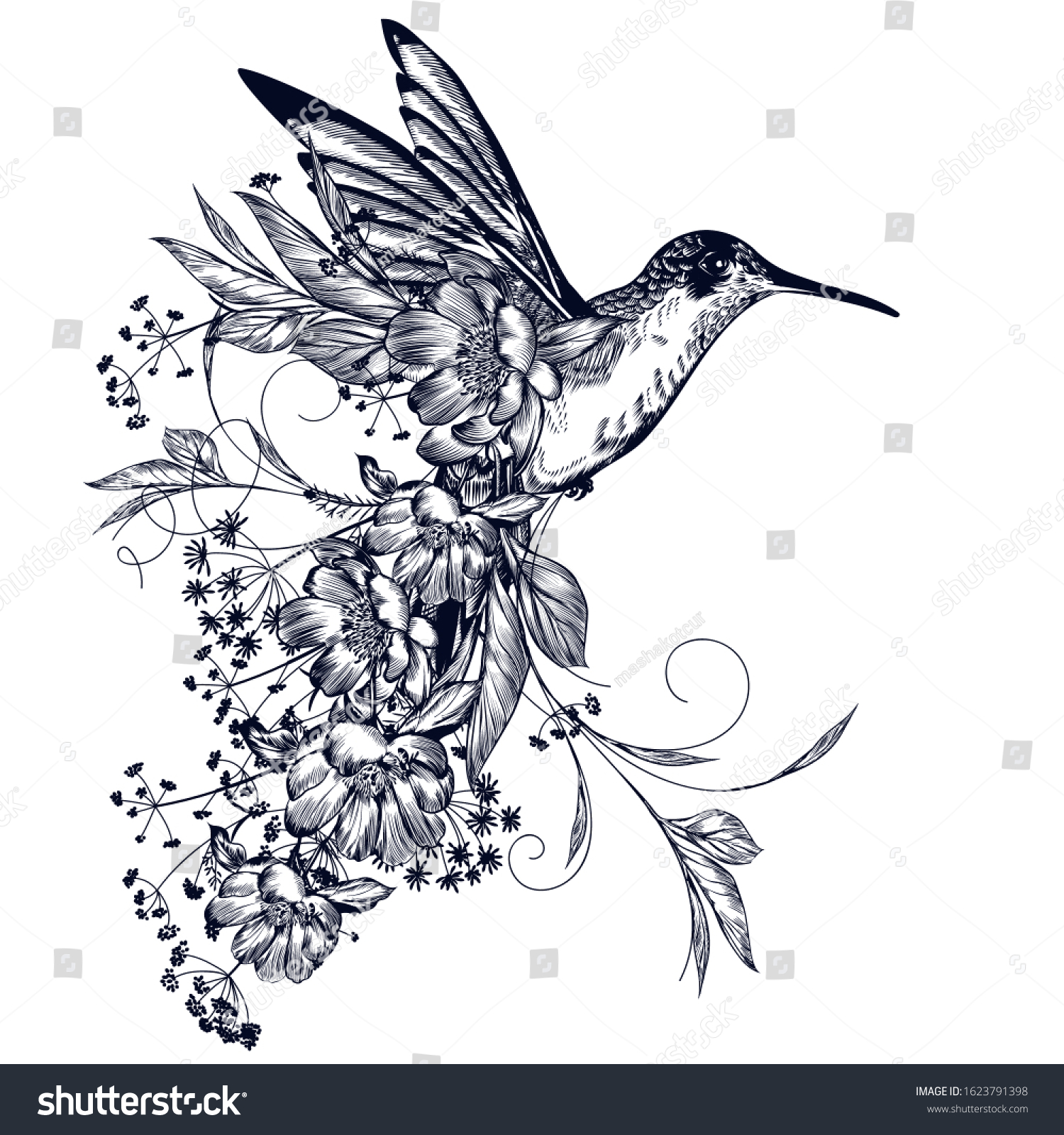 Elegant Vector Hummingbird Flowers Flourishes Vintage Stock Vector ...