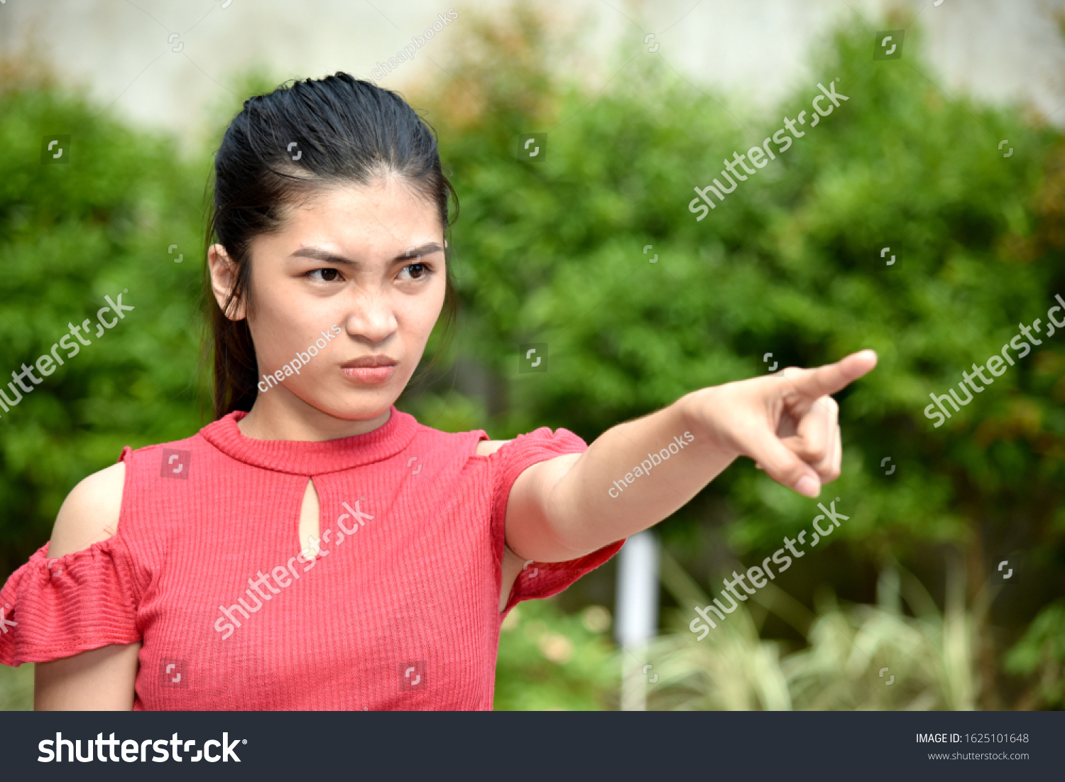 Cute Asian Female Anger Stock Photo 1625101648 | Shutterstock