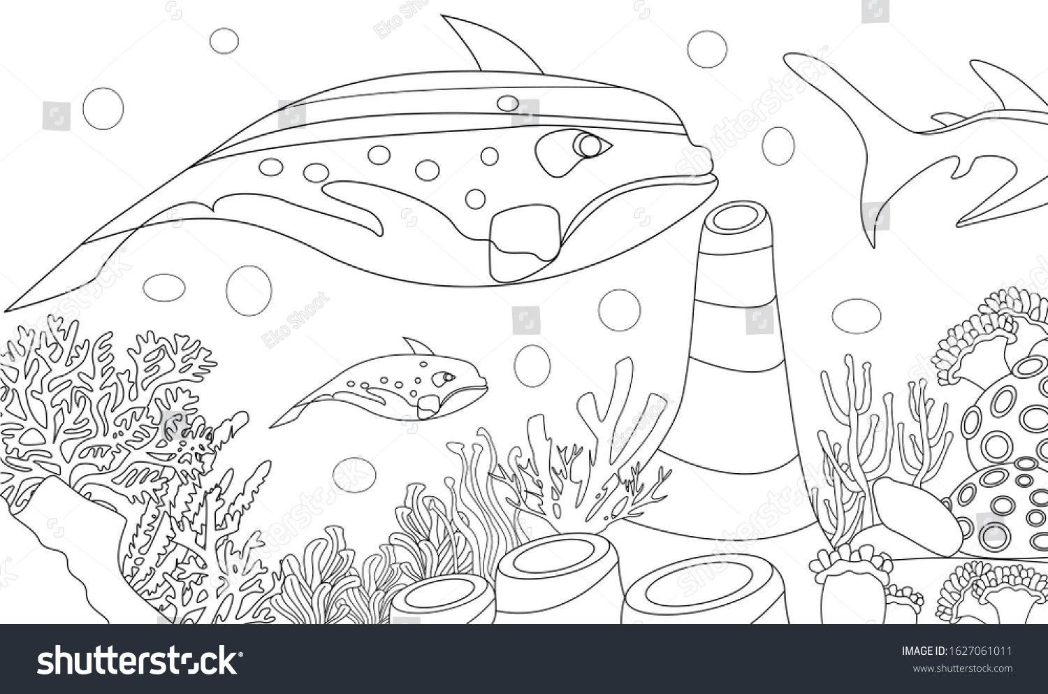 Coloring Book Pages Underwater Fish Life Stock Vector (Royalty Free