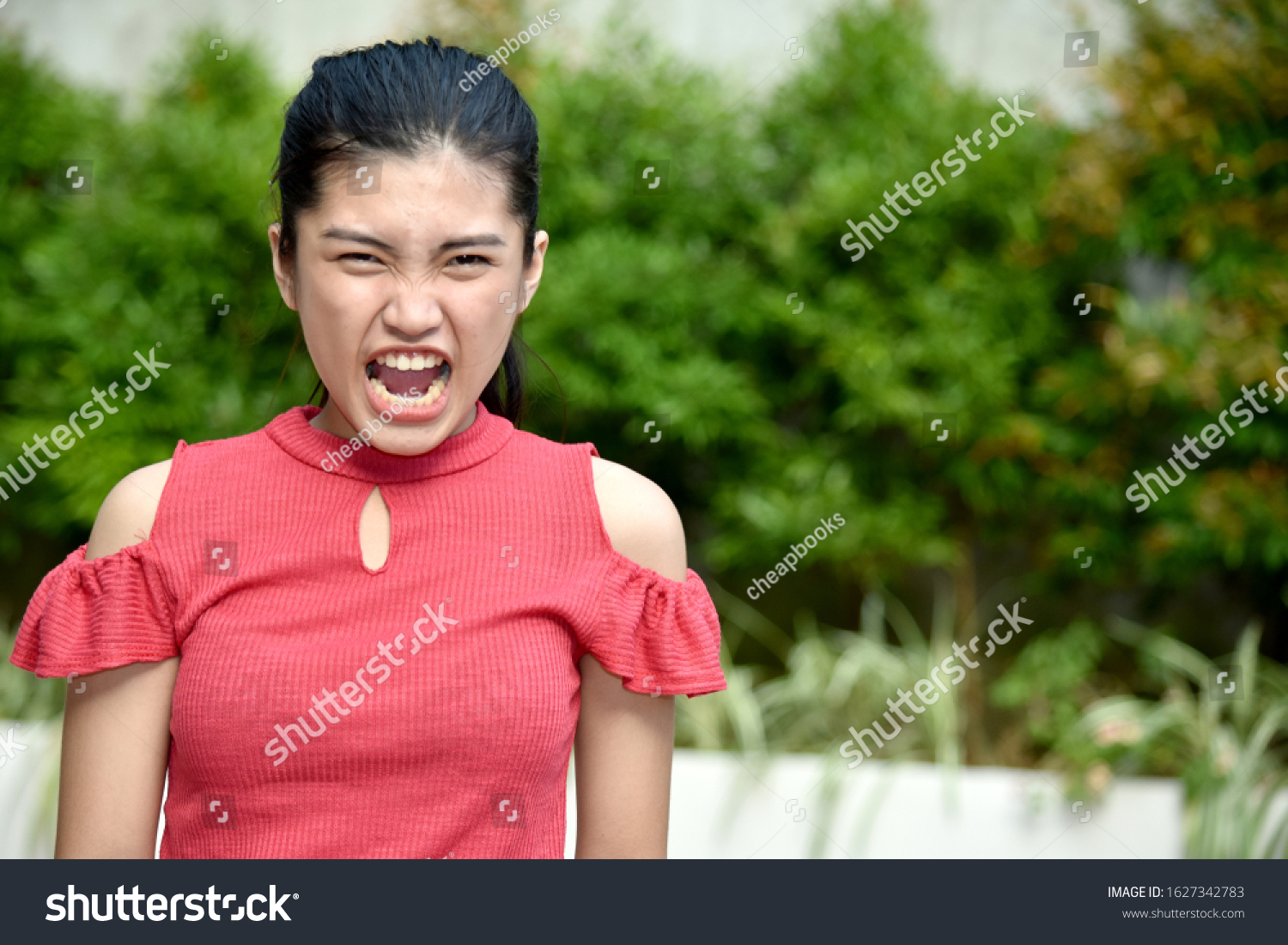 Angry Cute Teenage Female Stock Photo 1627342783 | Shutterstock