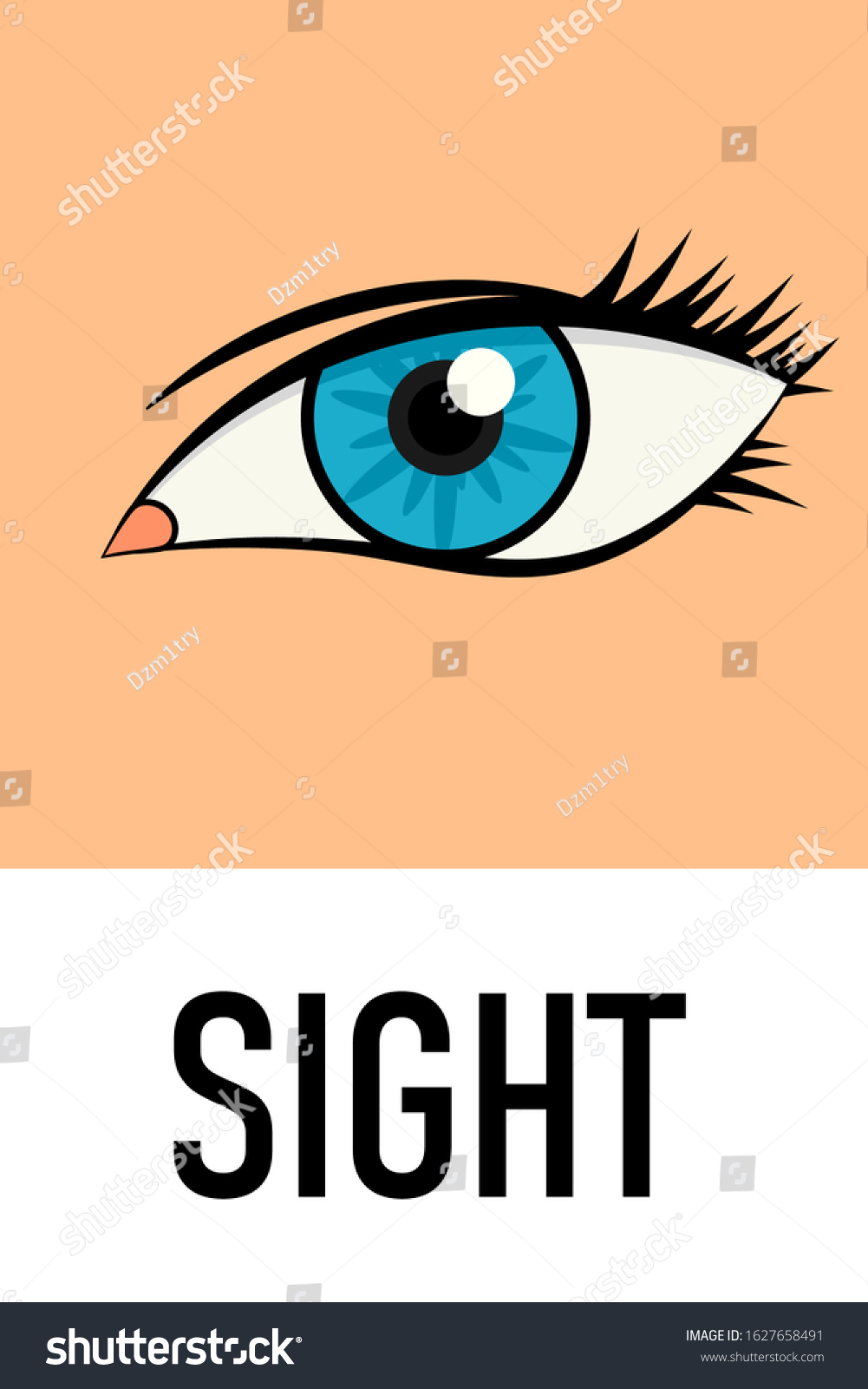 Sight Sense Icon Clipart Image Isolated Stock Vektor Royaltyfri