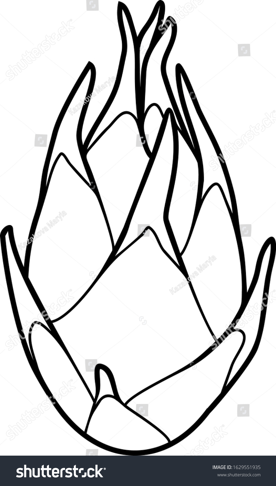 Coloring Page Pitahaya Dragon Fruit Isolated Stock Vector (Royalty Free ...