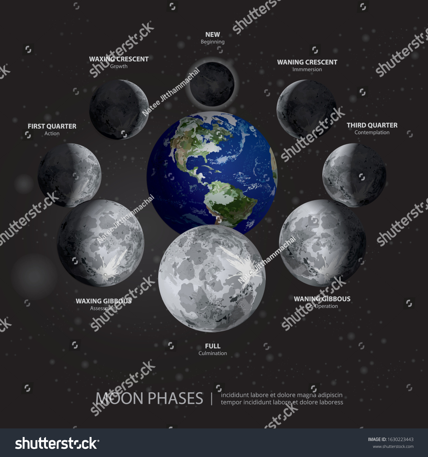 Movements Moon Phases Realistic Vector Illustration Stock Vector ...