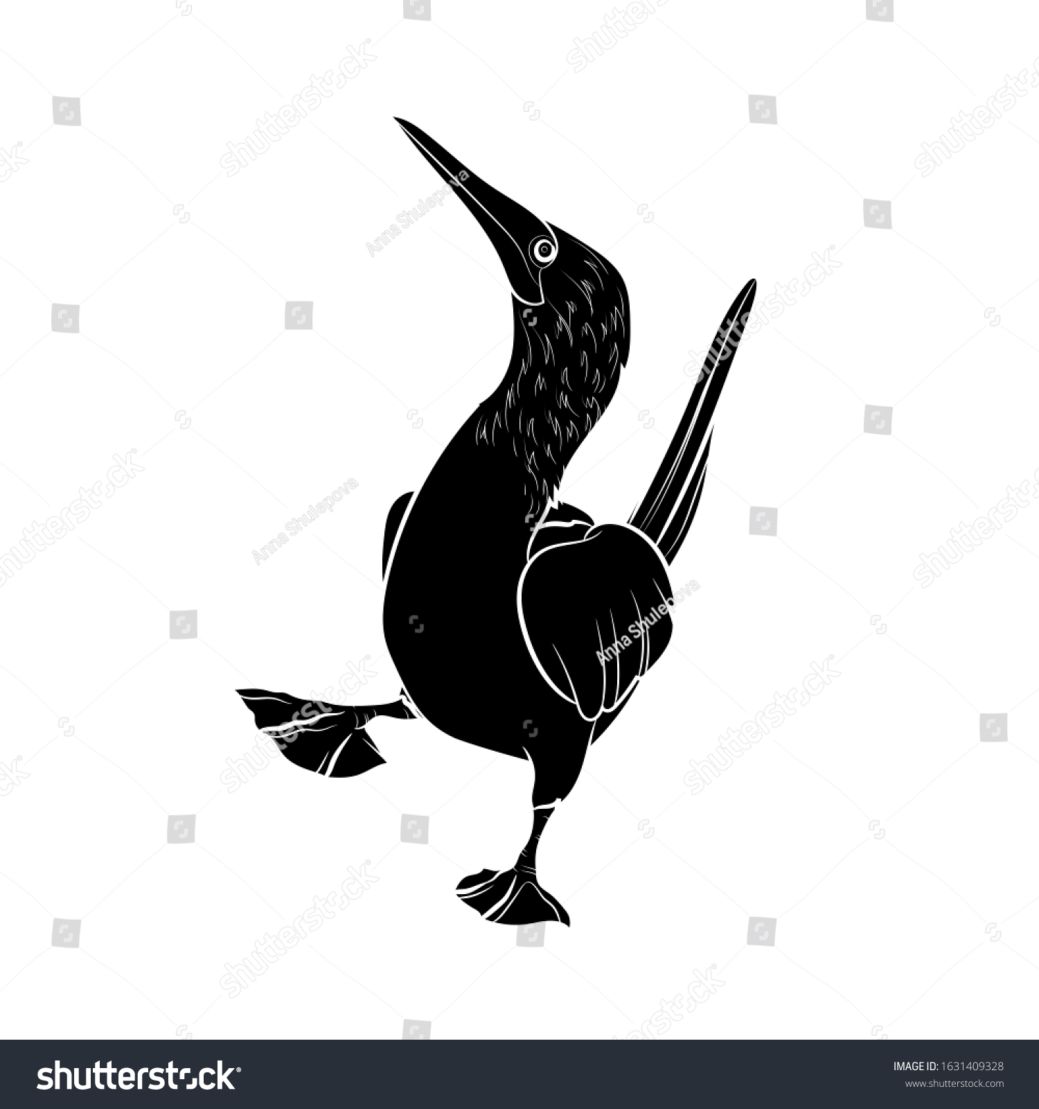 Silhouette Bluefooted Booby Cute Bird Black Stock Vector (Royalty Free ...