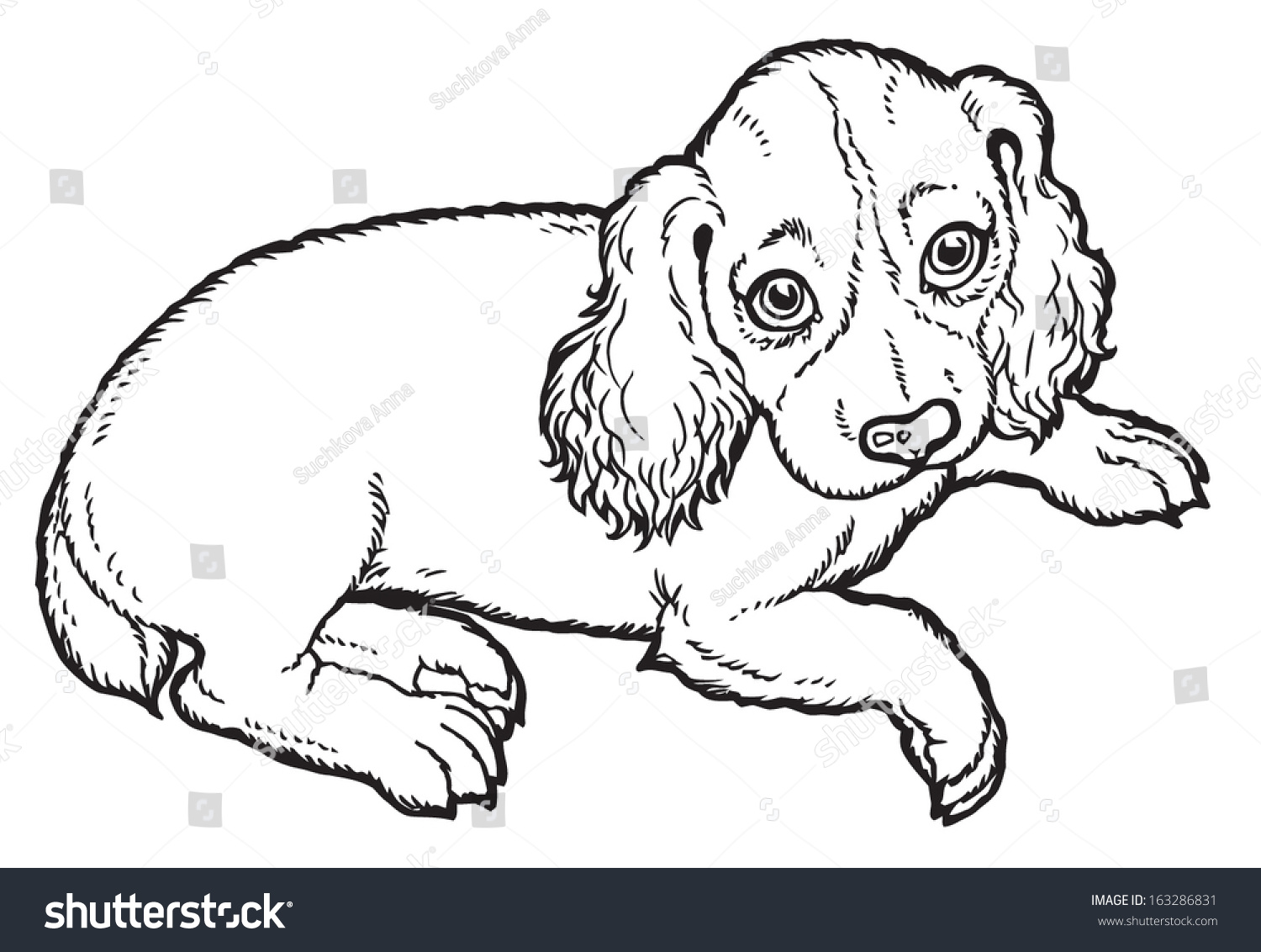 Собака Муму рисунок