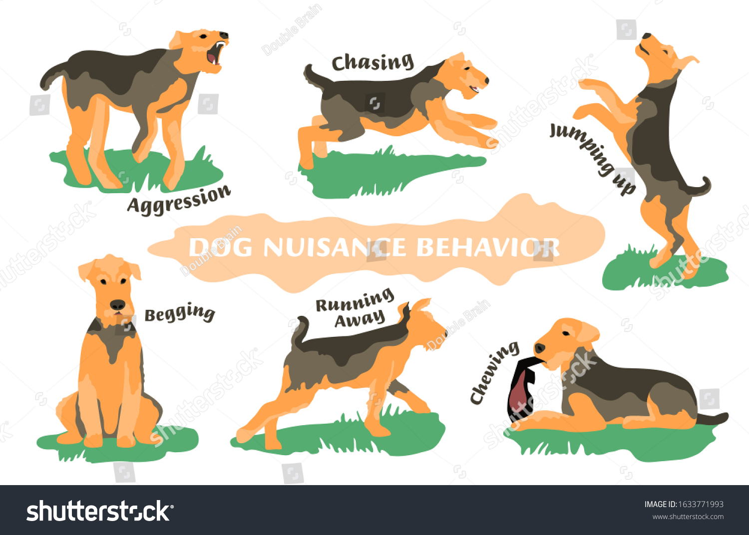 Dog Behavior Problem Icon Set Domestic Stock Vector (Royalty Free ...