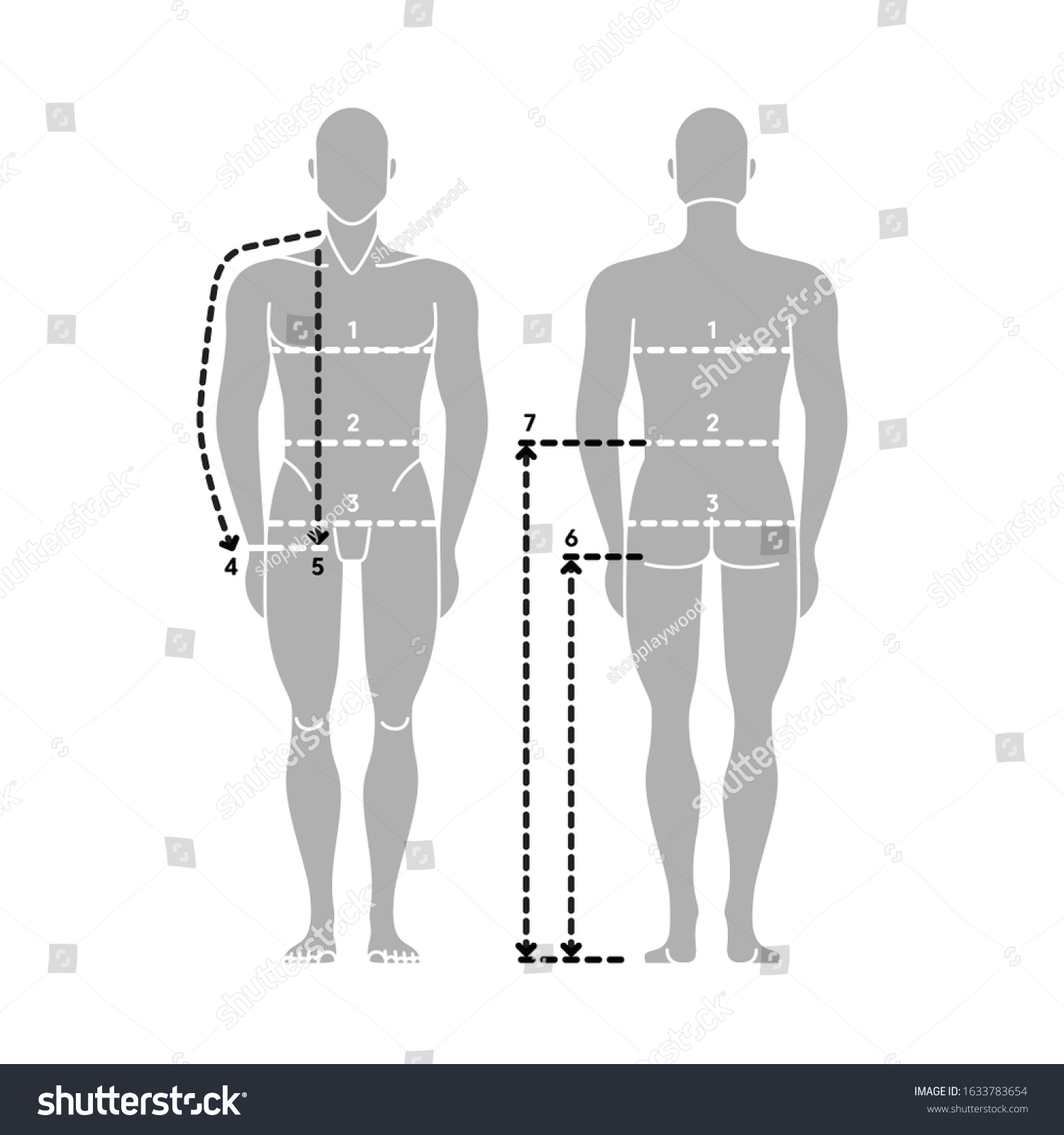 Man Body Measurements Taking Measurement Vector Stock Vector (Royalty ...