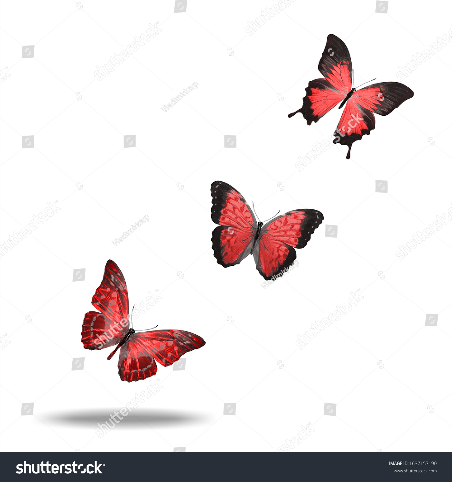 Flying Red Butterfly Isolated On White Stock Photo 1637157190 ...