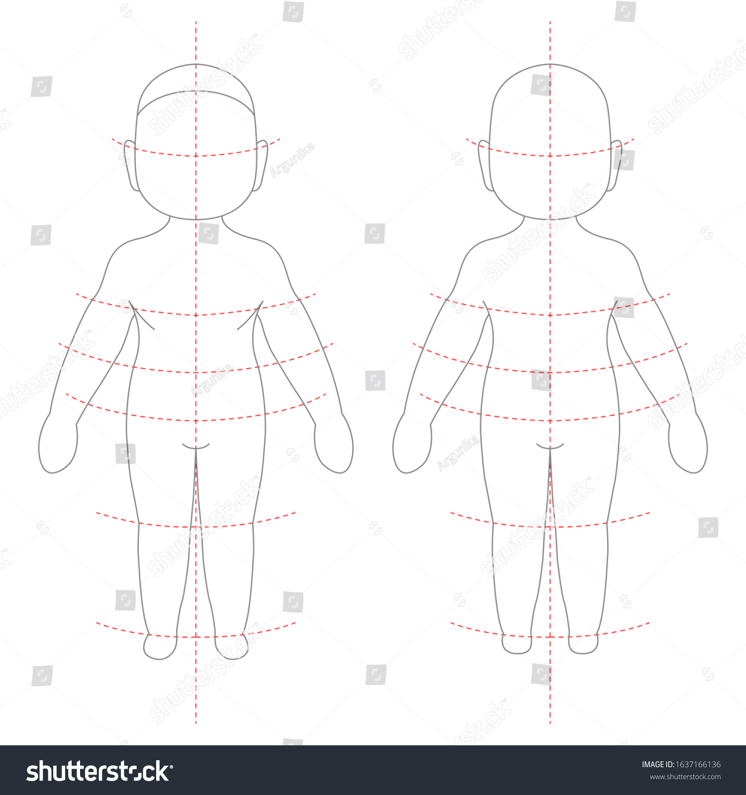 Vector Illustration Childs Body Proportions Measurements Stock Vector ...