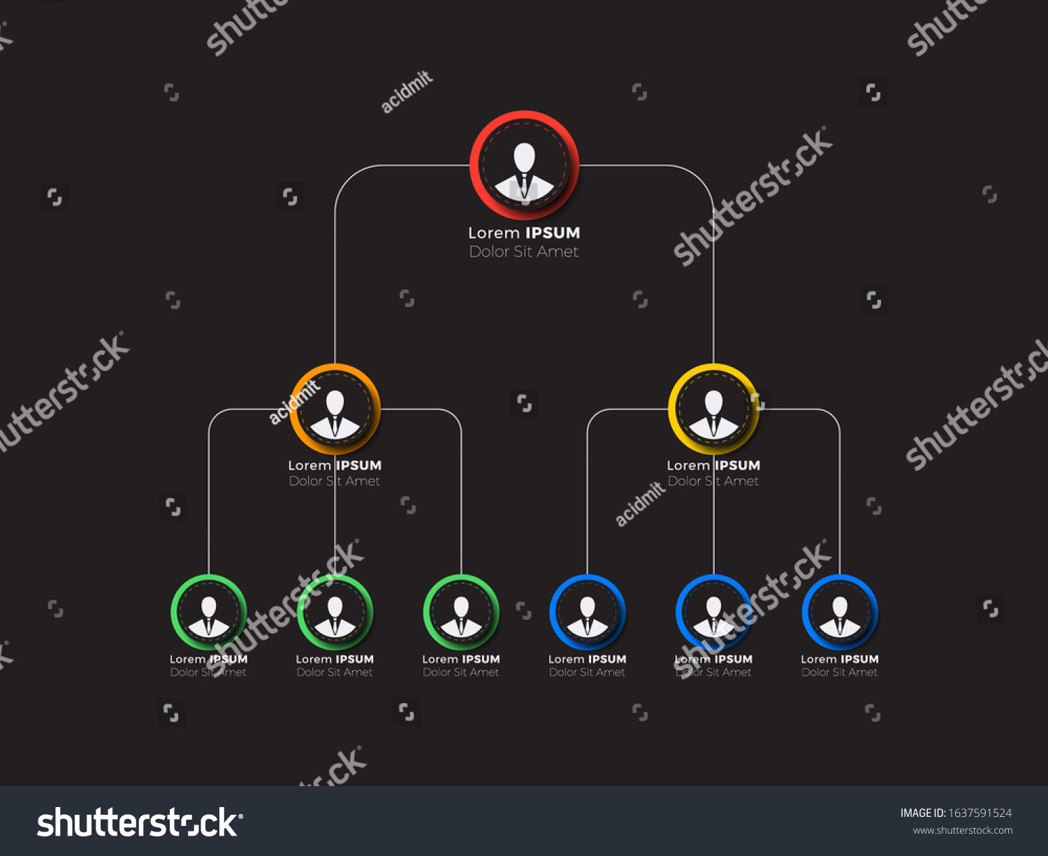 Organizational Structure Company Business Hierarchy Infographic Stock ...