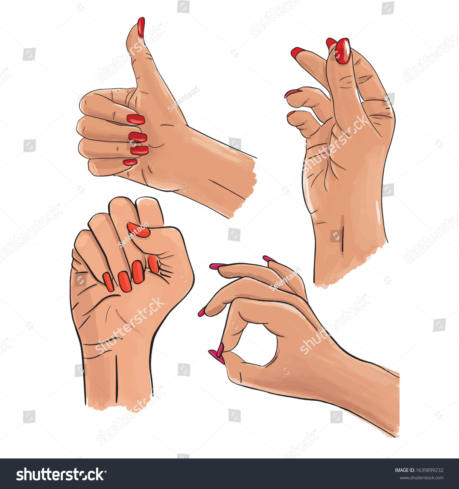 Vector Set Female Hands Gestures Woman Stock Vector Royalty Free 1639899232 Shutterstock 8053