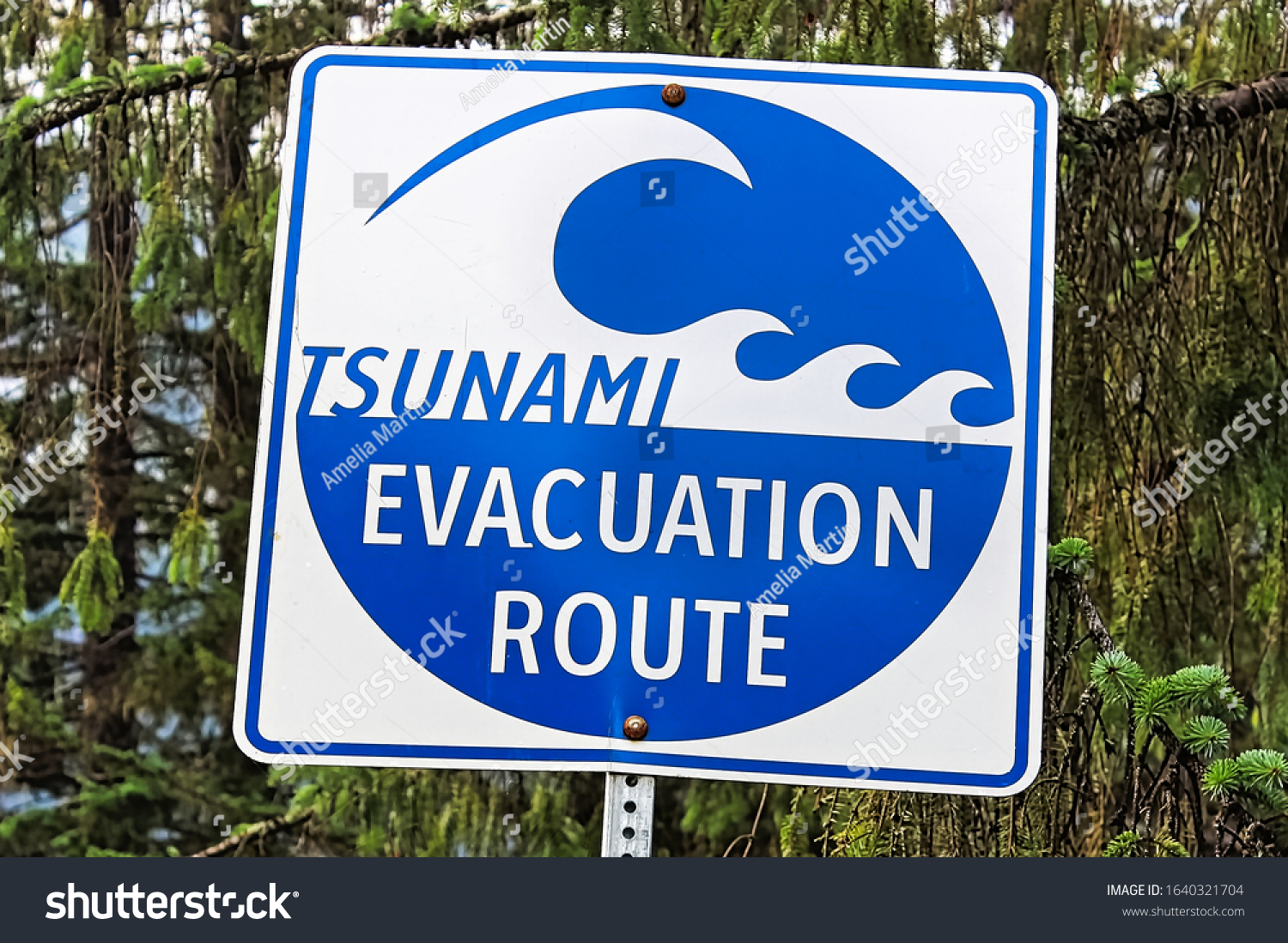 Blue Tsunami Evacuation Route Direction Sign Stock Photo 1640321704 ...