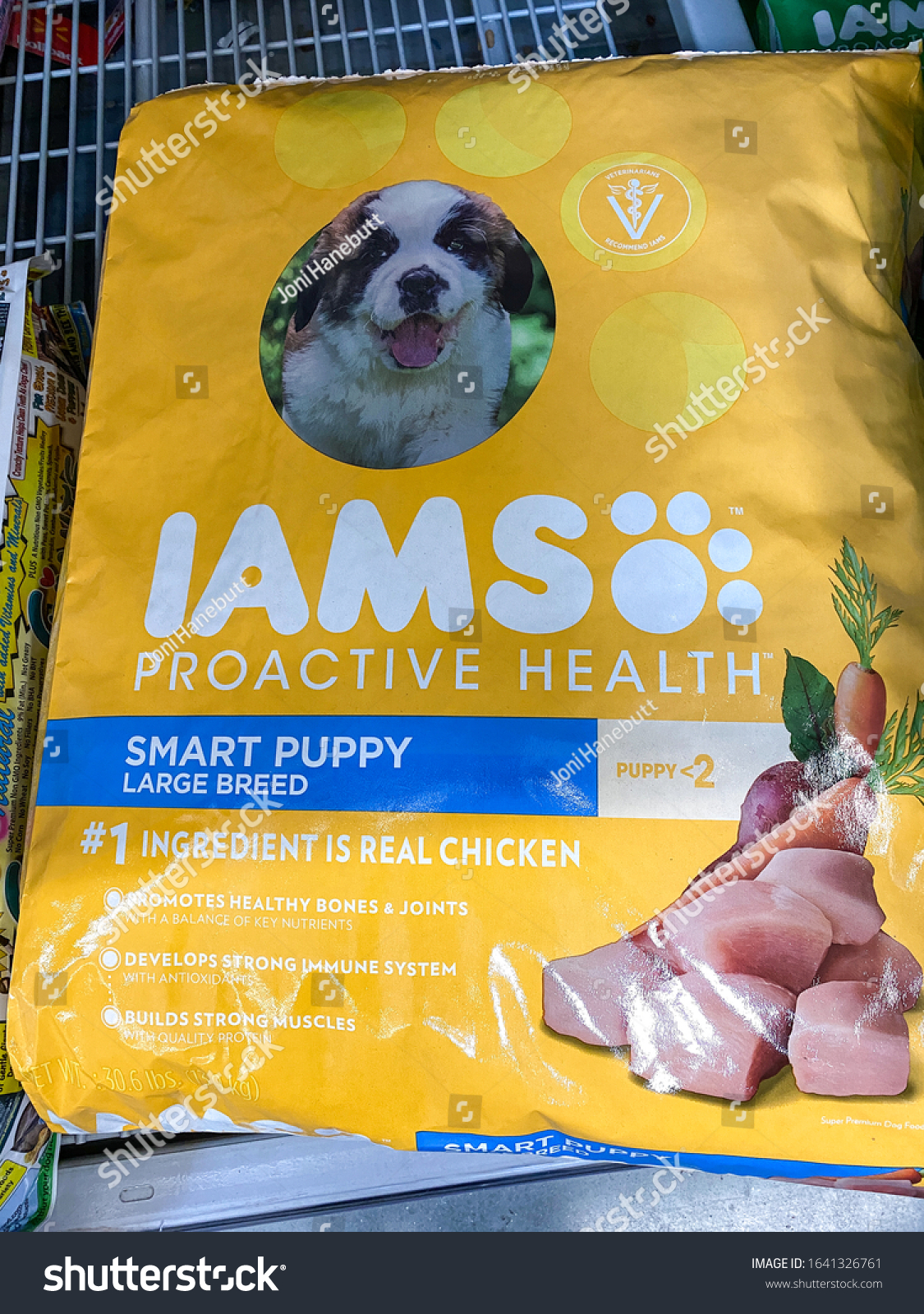 is iams wet food good for dogs