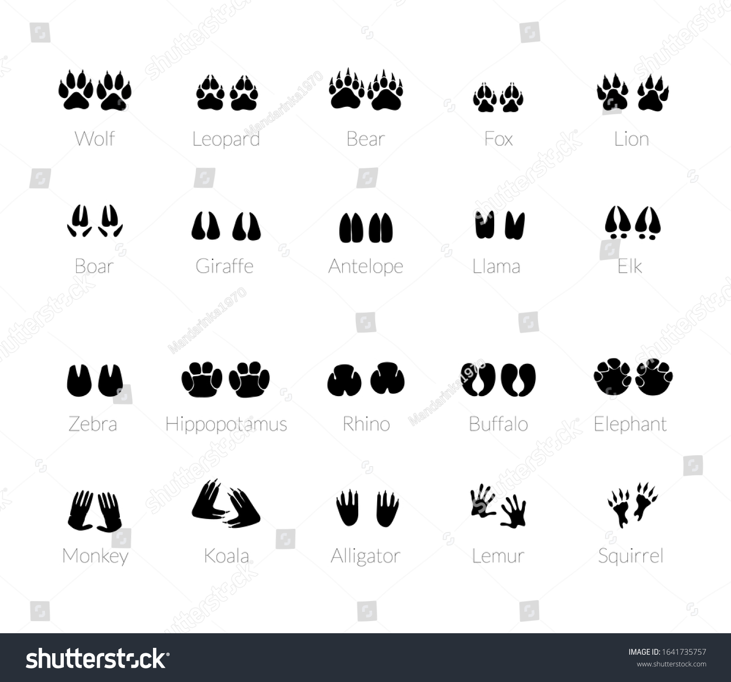 Animals Footprints Paw Prints Set Different Stock Vector (Royalty Free ...