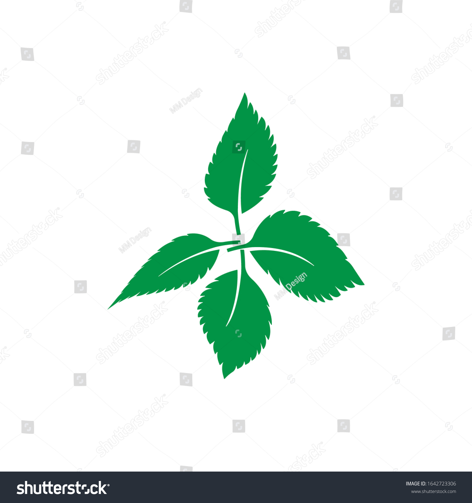 Mint Leaf Logo Template Design Stock Vector Royalty Free 1642723306 Shutterstock