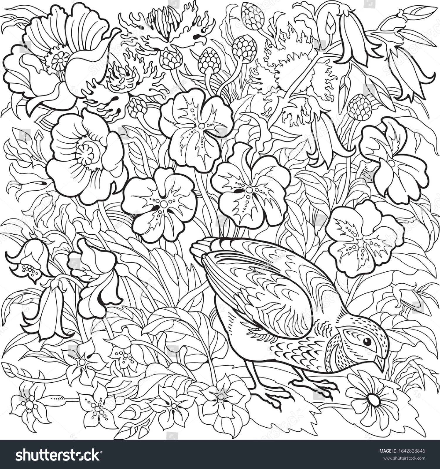 Small Partridge Flowers Herbs Coloring Page Stock Vector (Royalty Free ...