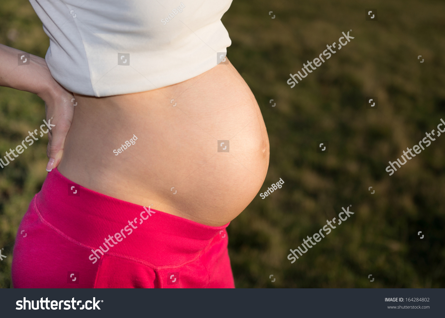 Беременные животики 6 месяца