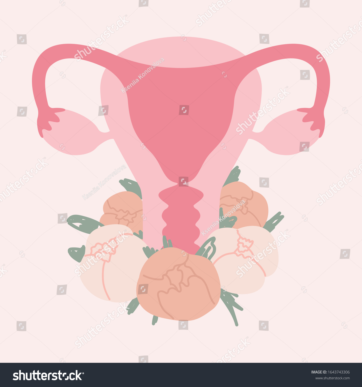 Female Reproductive System Flowers Stock Vector Royalty Free