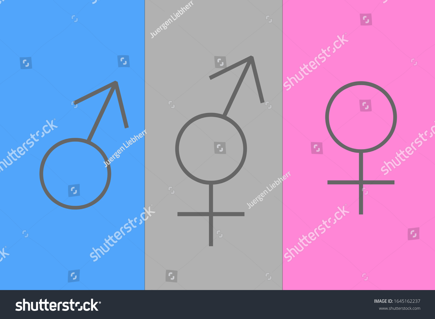 Gender Equity Male Female Hermaphrodite Sign Stock Illustration 1645162237 Shutterstock 7538