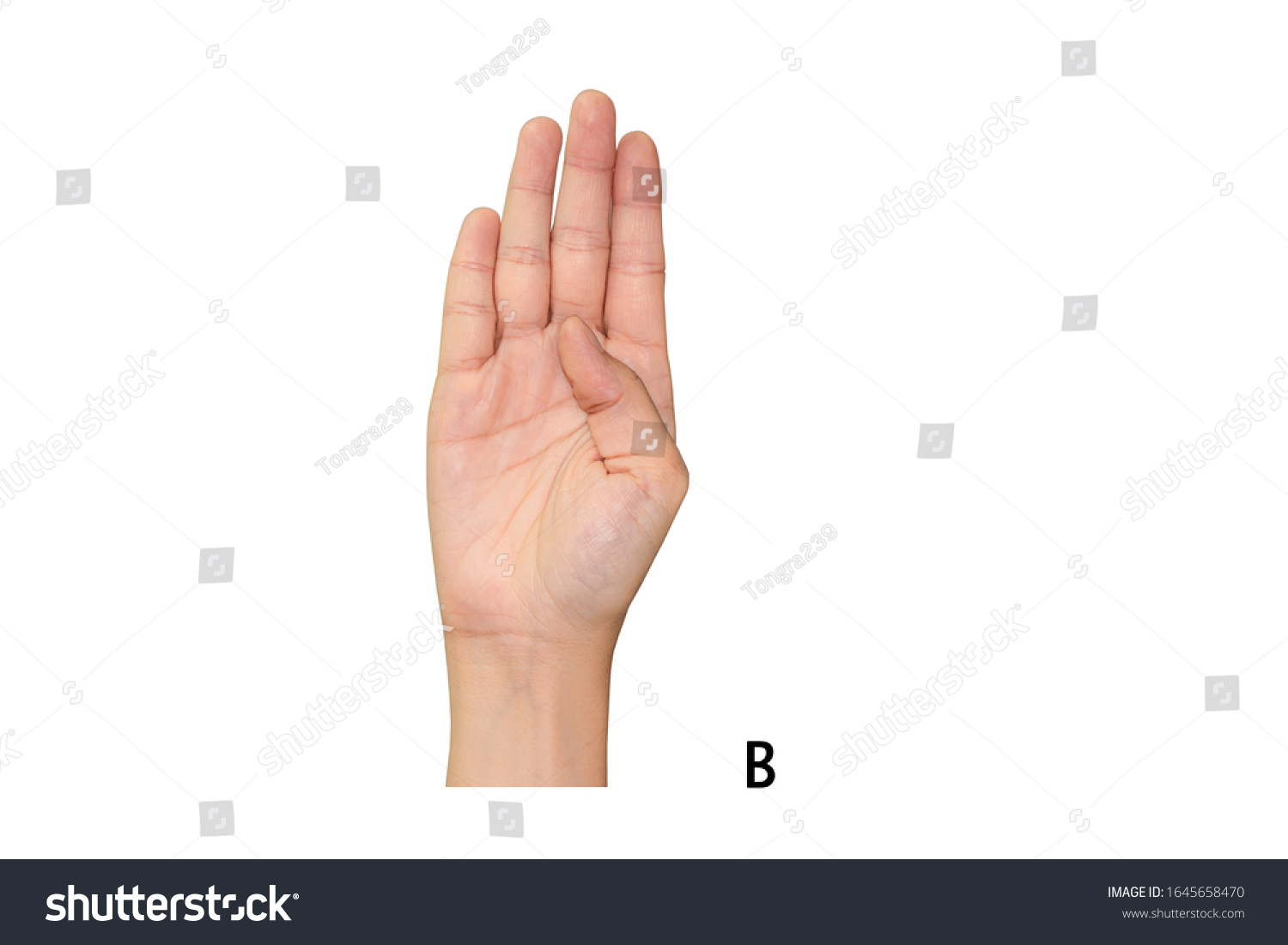 Letter B Using American Sign Language Stock Photo 1645658470 | Shutterstock