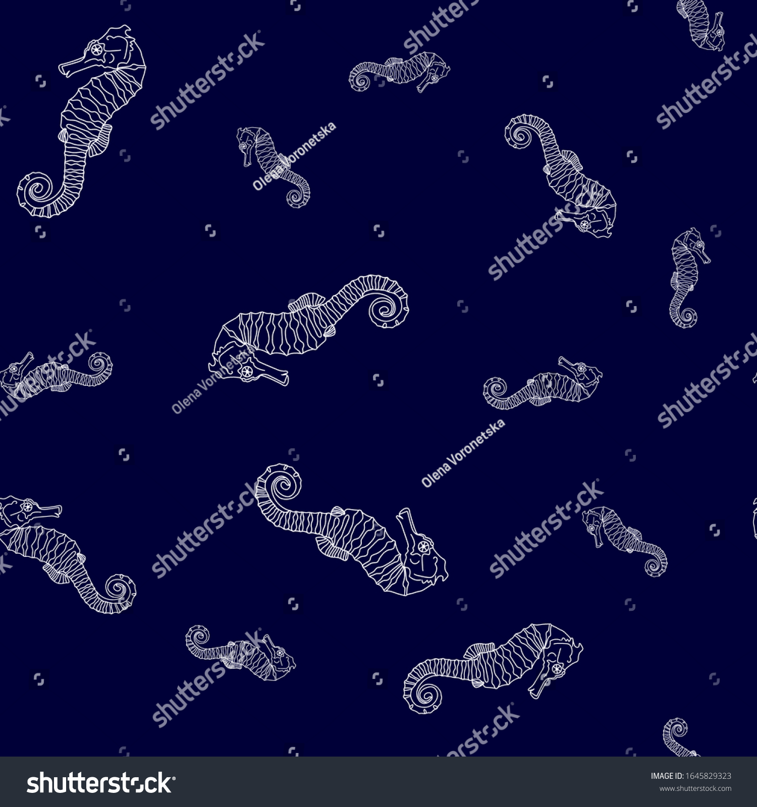 Hand Drawn Sea Horses Outline Vector Stock Vector (Royalty Free